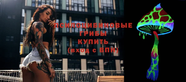 мдпв Сатка