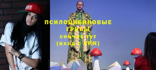 мдпв Сатка