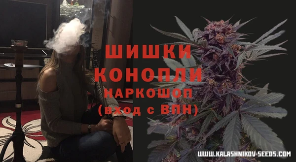 мдпв Сатка